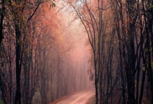 激情四射！法国足坛的胜负之战