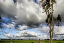 激情篮球比赛纷纷引爆球迷热情