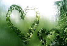 激情四射！法国足坛的胜负之战