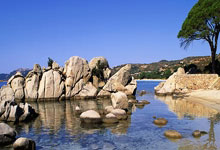 激情篮球比赛纷纷引爆球迷热情