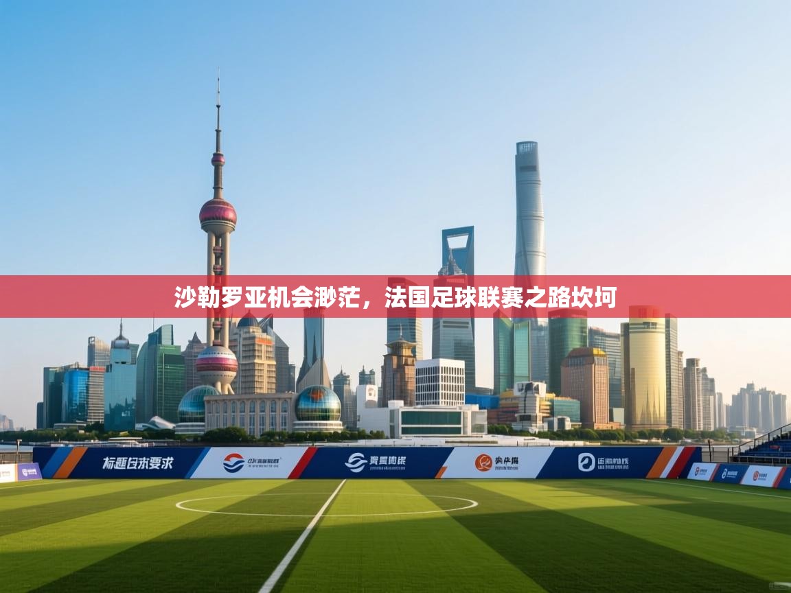 沙勒罗亚机会渺茫,法国足球联赛之路坎坷 第1张