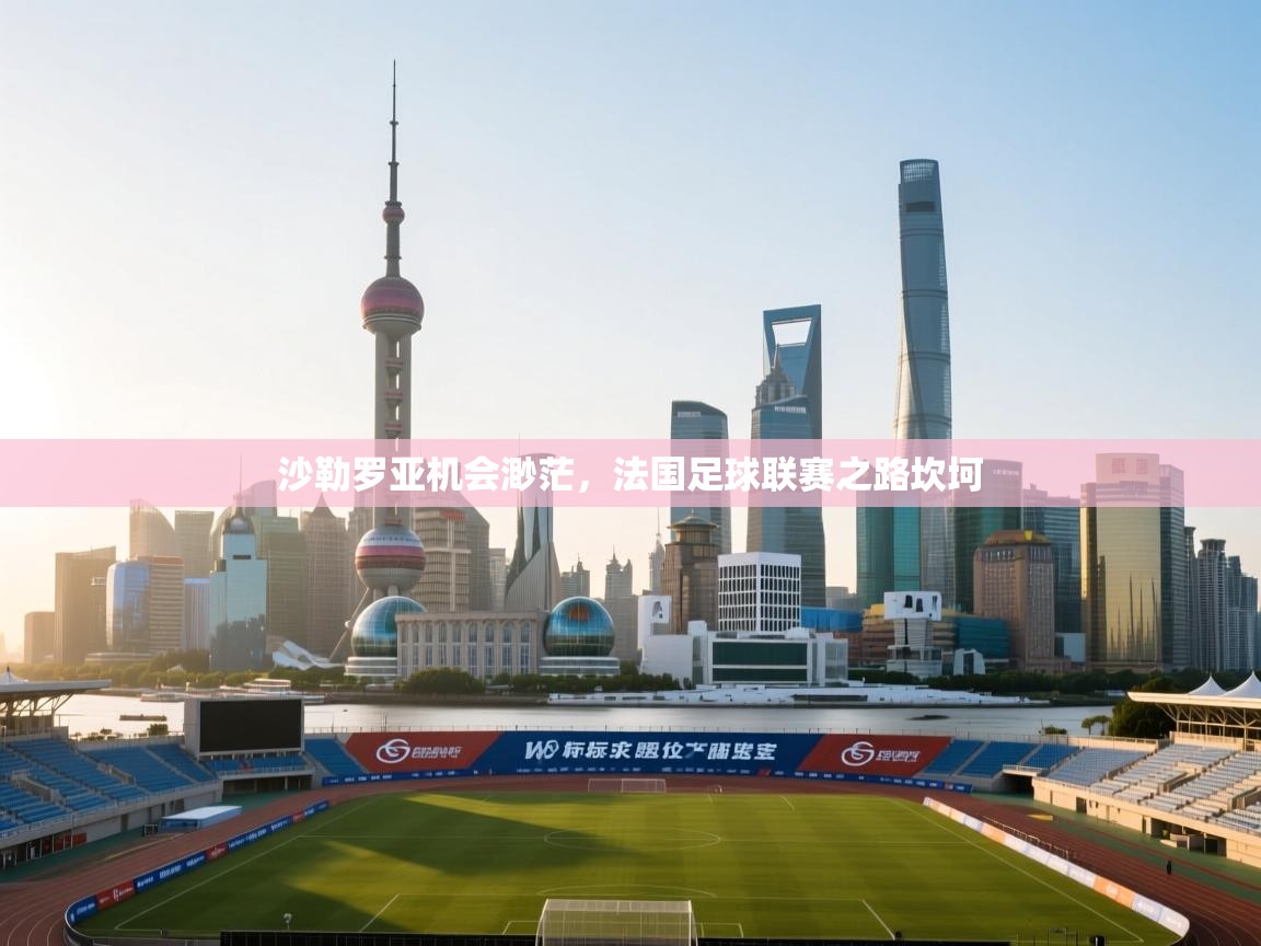 沙勒罗亚机会渺茫,法国足球联赛之路坎坷 第2张