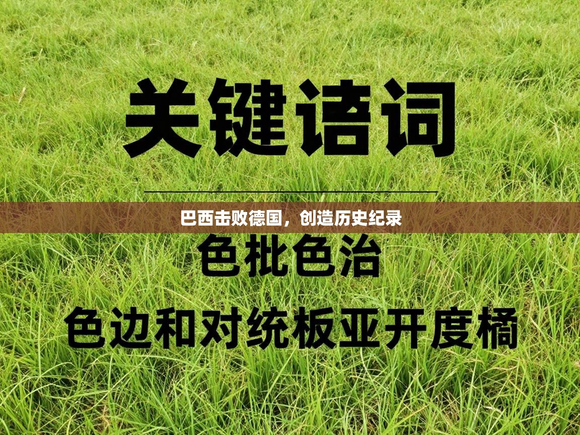 巴西击败德国，创造历史纪录