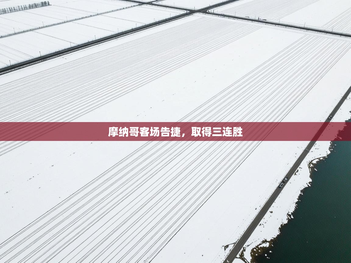 摩纳哥客场告捷,取得三连胜 第2张