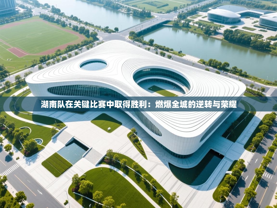 湖南队在关键比赛中取得胜利：燃爆全城的逆转与荣耀  第2张